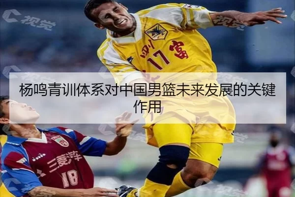 杨鸣青训体系对中国男篮未来发展的关键作用